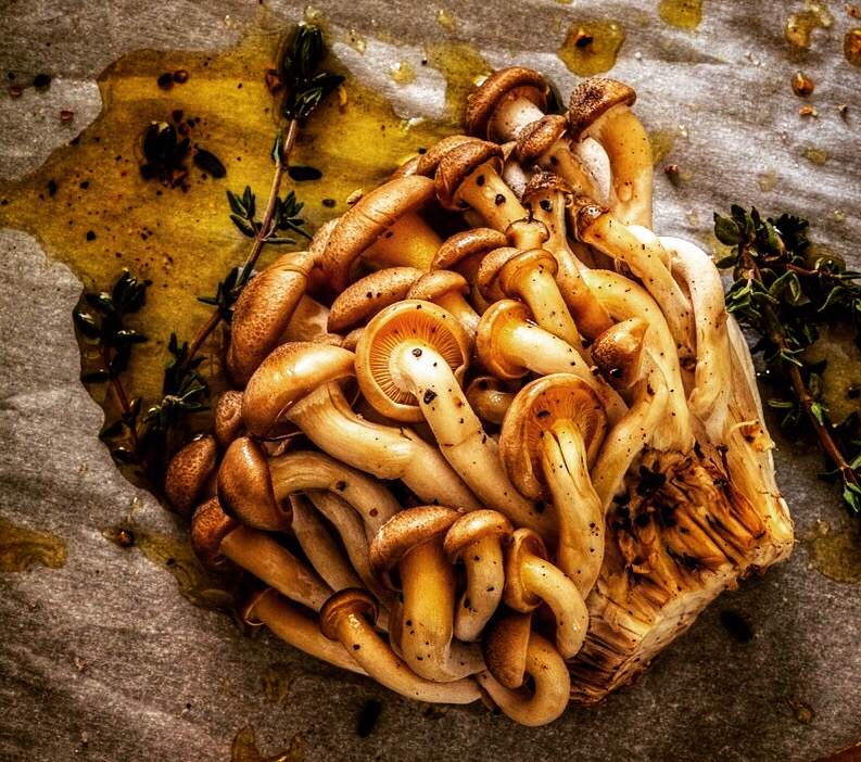 Roasted Wild Mushrooms