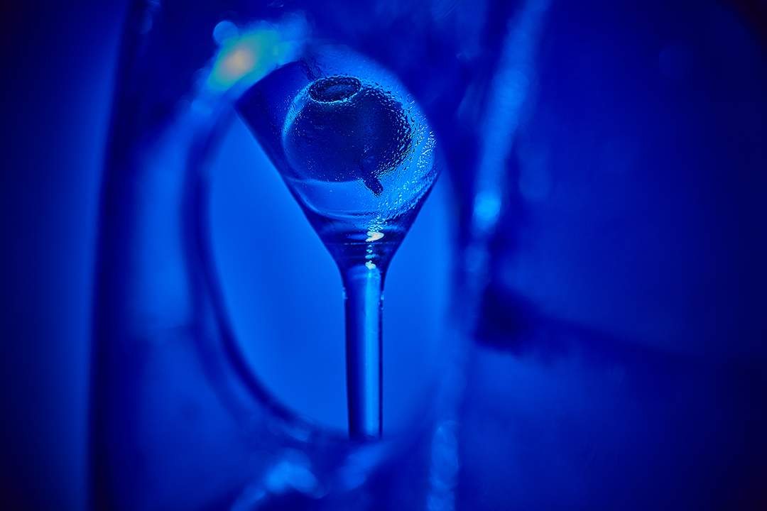 MartiniPitcherandGlassonBlueforBombayTest_202111474_smallforwebsite