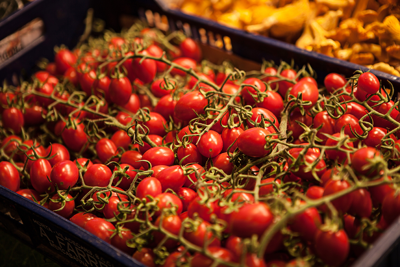 Tomatos • Mercado de La Boqueria • Barcelona, Spain