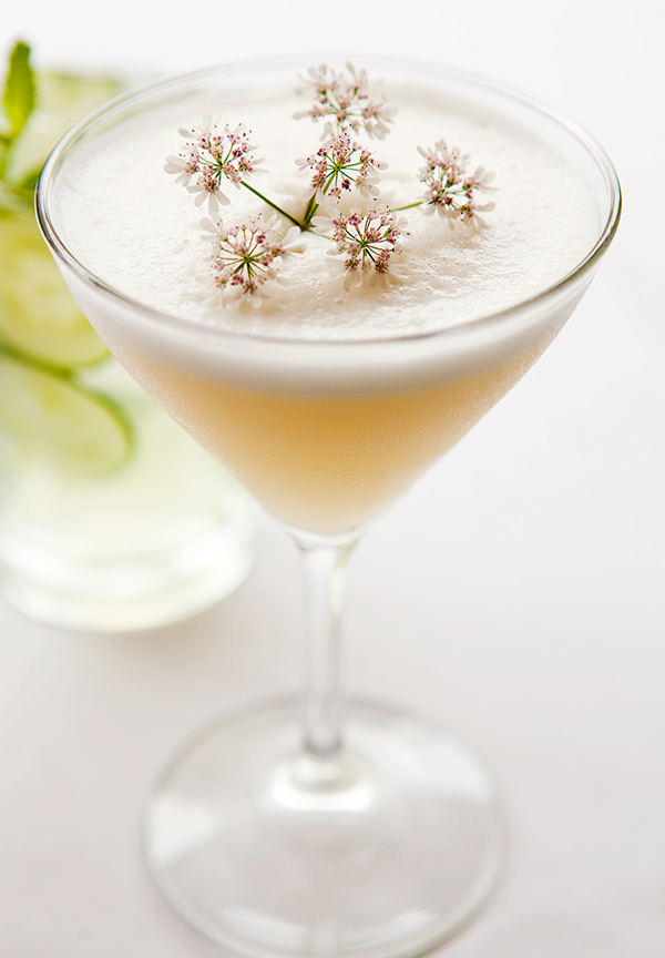 Ginger Gin Sour 