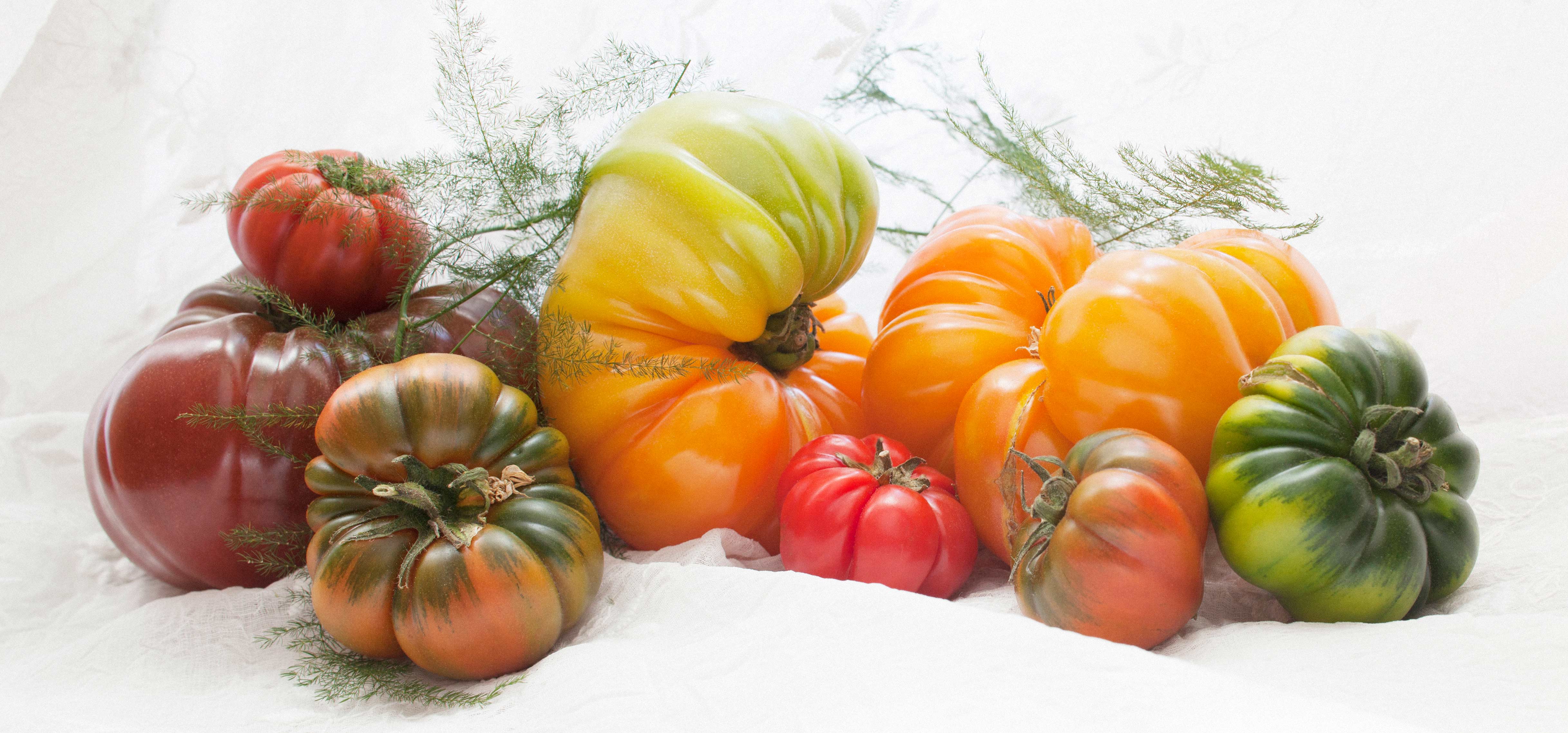 Heirloom Tomatoes, Nice France